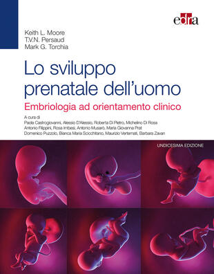 copertina Lo sviluppo prenatale dell'uomo. Embriologia ad orientamento clinico