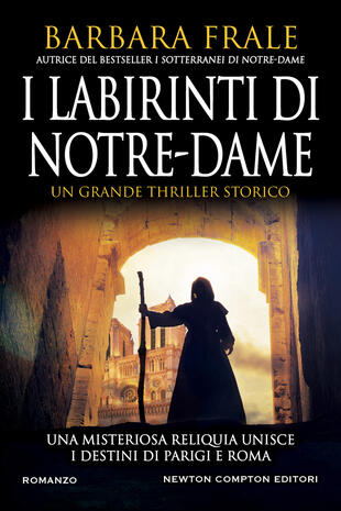 copertina I labirinti di Notre-Dame
