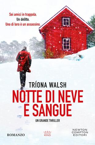 copertina Notte di neve e sangue