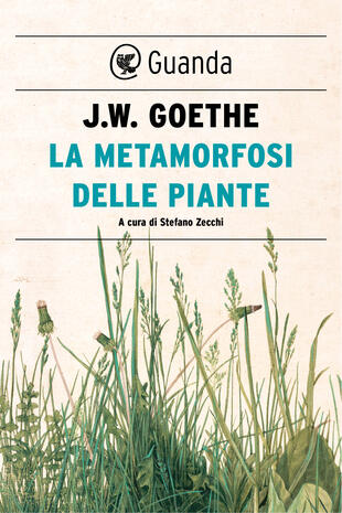 copertina La metamorfosi delle piante