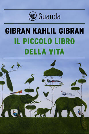 copertina Il piccolo libro della vita