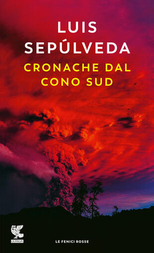 copertina CRONACHE DAL CONO SUD