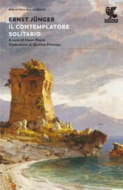 copertina Il contemplatore solitario