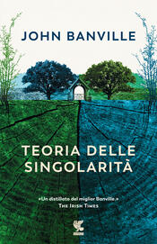 copertina Teoria delle singolarità