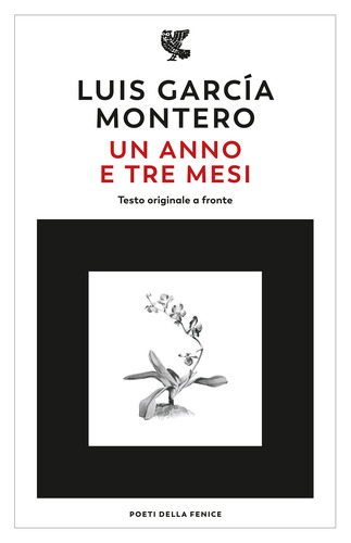 Un anno e tre mesi