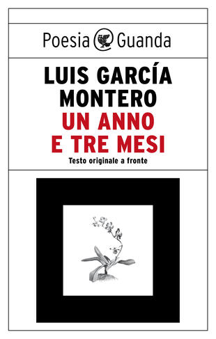 copertina Un anno e tre mesi
