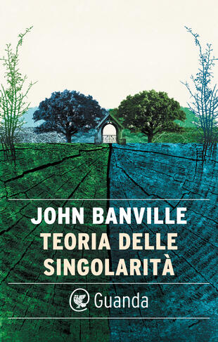 copertina Teoria delle singolarità