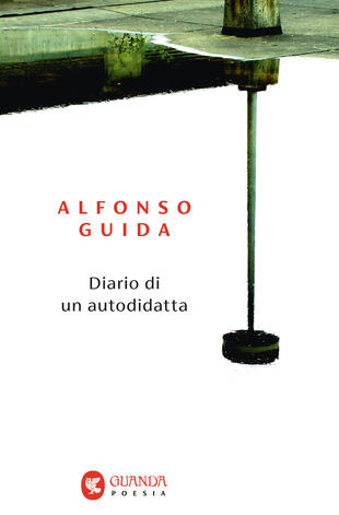 Incontro con Alfonso Guida
