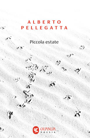 copertina Piccola estate