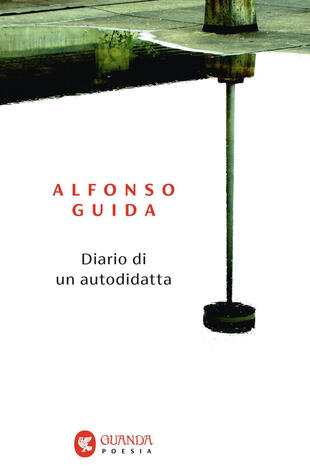 copertina Diario di un autodidatta