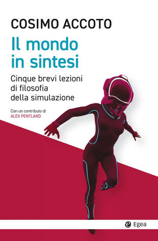 copertina Il mondo in sintesi. Cinque brevi lezioni di filosofia della simulazione