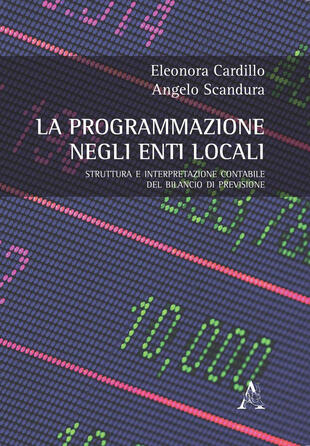 copertina La programmazione negli enti locali. Struttura e interpretazione contabile del bilancio di previsione