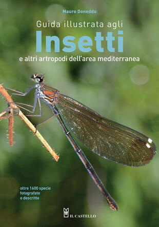 copertina Guida illustrata agli insetti e altri artropodi dell'area mediterranea. Ediz. illustrata