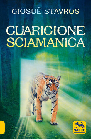 copertina Guarigione sciamanica