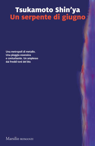 copertina Un serpente di giugno
