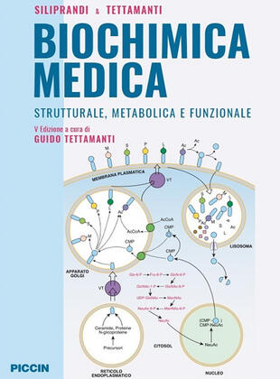 copertina Biochimica medica strutturale metabolica e funzionale