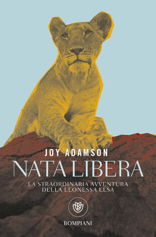 copertina Nata libera. La straordinaria avventura della leonessa Elsa