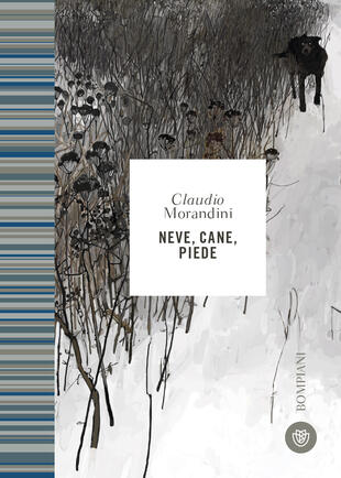 copertina Neve, cane, piede