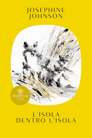 copertina L'isola dentro l'isola