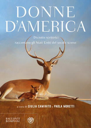 copertina Donne d'America. Diciotto scrittrici raccontano gli Stati Uniti del secolo scorso