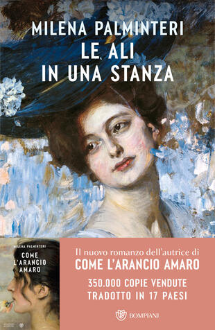 copertina Le ali in una stanza