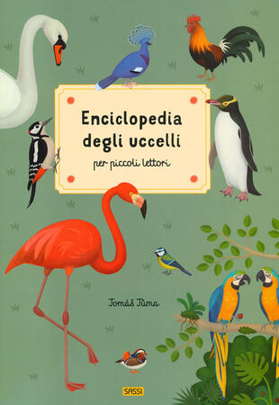 copertina Enciclopedia degli uccelli per piccoli lettori. Nuova ediz.
