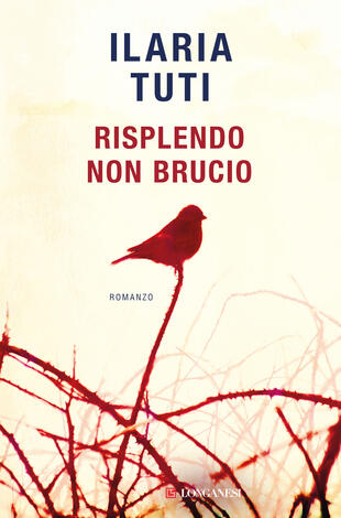 copertina Risplendo non brucio