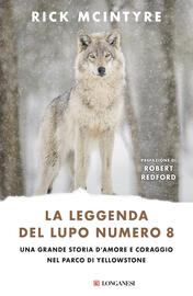 La leggenda del lupo numero 8