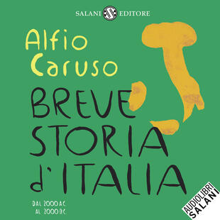 copertina Breve storia d'Italia