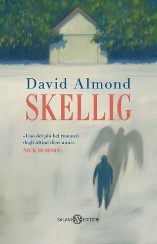 copertina Skellig