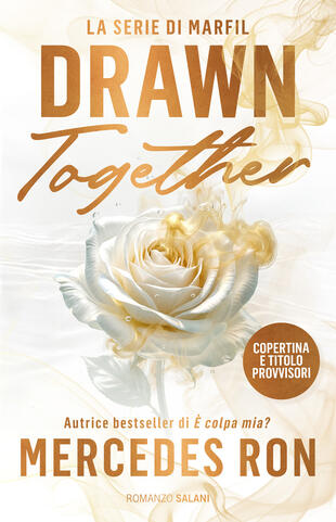 copertina Drawn together. La serie di Marfil
