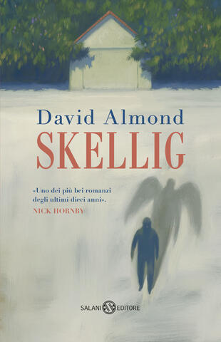 copertina Skellig