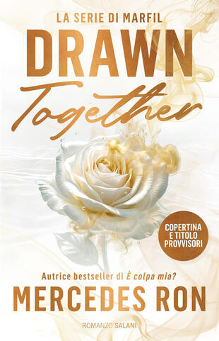 copertina Drawn together. La serie di Marfil