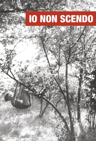 copertina Io non scendo. Storie di donne che salgono sugli alberi e guardano lontano