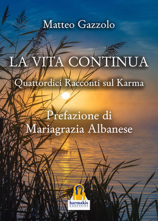 copertina La vita continua. Quattordici racconti sul karma