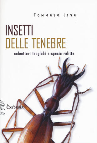 copertina Insetti delle tenebre. Coleotteri troglobi e specie relitte