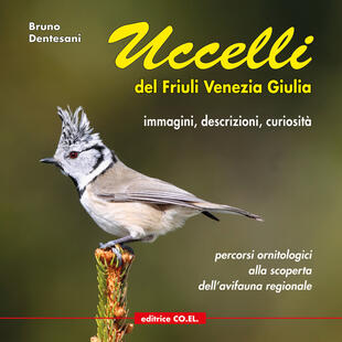 copertina Uccelli del Friuli Venezia Giulia. Immagini, descrizioni, curiosità. Percorsi ornitologici alla scoperta dell'avifauna regionale. Ediz. illustrata. Vol. 1