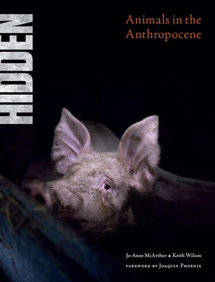 copertina Hidden. Animals in the Anthropocene. Ediz. illustrata