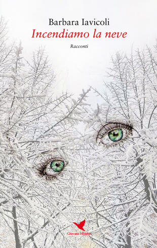 copertina Incendiamo la neve