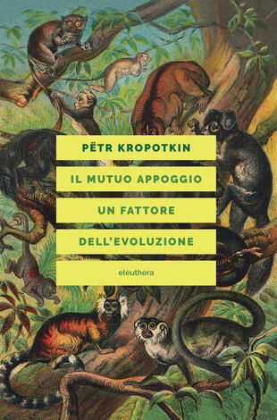copertina Il mutuo appoggio. Un fattore dell'evoluzione
