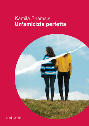 copertina Un'amicizia perfetta