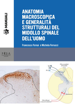 copertina Anatomia macroscopica e generalità strutturali del midollo spinale dell'uomo