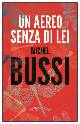 copertina Un aereo senza di lei
