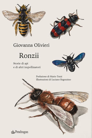 copertina Ronzii. Storie di api e di altri impollinatori