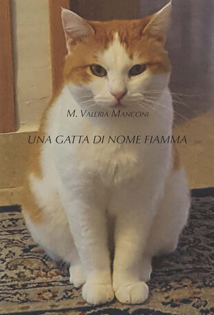 copertina Una gatta di nome Fiamma. Ediz. illustrata