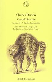 copertina Castelli in aria