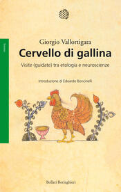 copertina Cervello di gallina