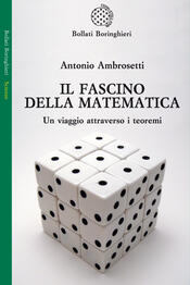 copertina Il fascino della matematica