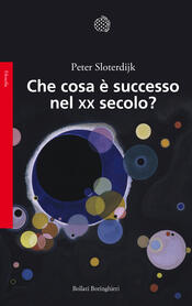 copertina Che cosa è successo nel XX secolo?