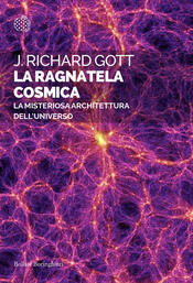copertina La ragnatela cosmica